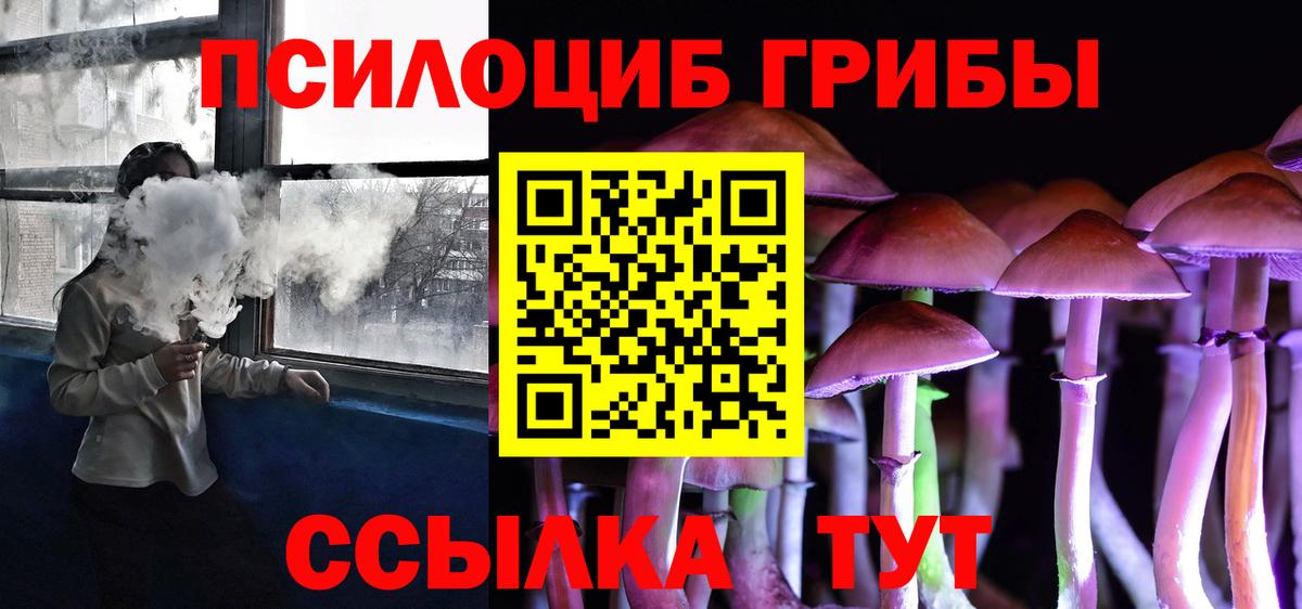 Галлюциногенные грибы прущие грибы Зеленогорск